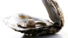 Казанова и цинкът