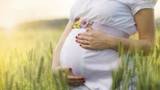 Любопитни факти за плацентата