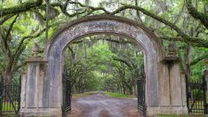 Мисъл на деня