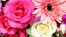 Петровден е!