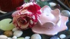 Животворната сила на цветята и фъншуй