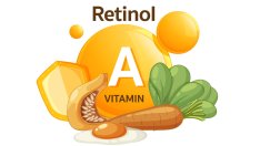 Храни, богати на ретинол – витаминът на младостта