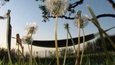 Почивни дни и официални празници през 2013