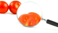 Полезни продукти, но с токсичен потенциал