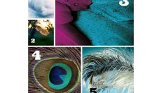 Изберете си перо и вижте какво ви съветват ангелите