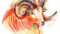 Хранене и диета според зодията – Овен