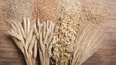 Яжте ечемик за здраво сърце и силни кости