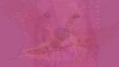 6 изображения разкриват личността