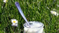 При лош дъх – кисело мляко