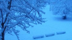 Зимни приключения за деца и възрастни