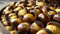 Защо кестените са полезни за здравето?