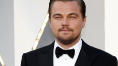 5 неща, които алфа мъжът търси в любовта