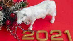 Кратка астрологична прогноза за 2021 –  Годината на белия метален Вол