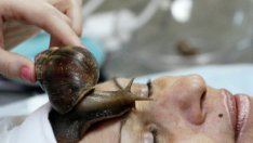 Екомасаж с живи охлюви на лицето