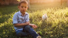 4 натурални средства срещу ухапвания от насекоми 