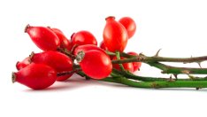 Маски за лице с шипки