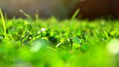 Край на монотонното мислене. 75 начина да постигнем мечтите си