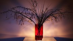 7 съвета за уютен дом