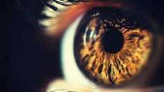 Притча за окото