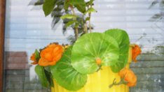 Колко пъти да рециклираме?