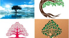 Изберете дърво и вижте каква ще е съдбата ви