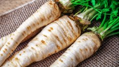 Корен от магданоз и ползите му за здравето 