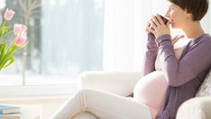 Билки за всеки етап от бременността