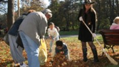 Видни „вещици“ събират шума и осиновяват дървета