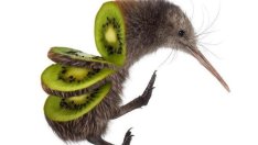 Дигитализирани образи на животни (галерия)