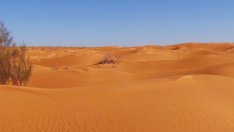 Знаете ли, че... в пустинята Сахара е валяло сняг?