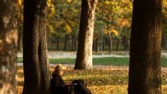 Любовни есенни рими – 19-а част