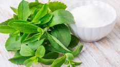 Може ли стевията да бъде опасна за здравето? 