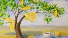 Сюрреалистичният свят на лимоните (галерия)