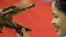 Хармония в отношенията – знаем ли как да я постигнем?