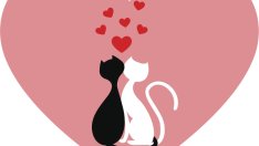 Любовен хороскоп за 1 – 8 февруари 2015