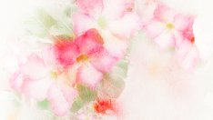 Визуален тест за личността