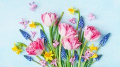 Любимите ви пролетни цветя разкриват какво ви очаква