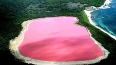 Необикновеното розово езеро Хилиър