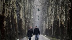 Предупредителните знаци за разрив в семейните отношения