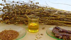 Лененото семе е # 1 сред суперполезните храни!