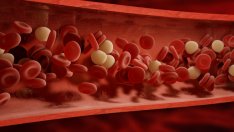 Малки трикове за подобряване на кръвообращението