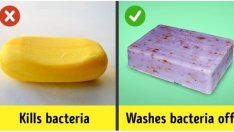 10 мита, в които да спрете да вярвате 