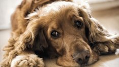 Притча за промяната