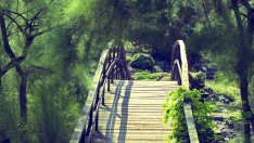 Притча за моста 