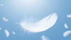 Какви знаци ви изпращат всеки ден вашите ангели хранители?