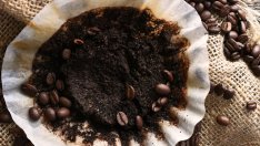 10 алтернативни употреби на утайката от кафе