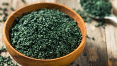 Спирулина – 4 безценни ползи за здравето 