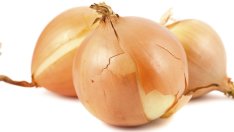 Лучените люспи помагат при бронхит и косопад