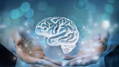 Навици, които вредят на мозъка