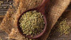 8 ползи от семената от резене 